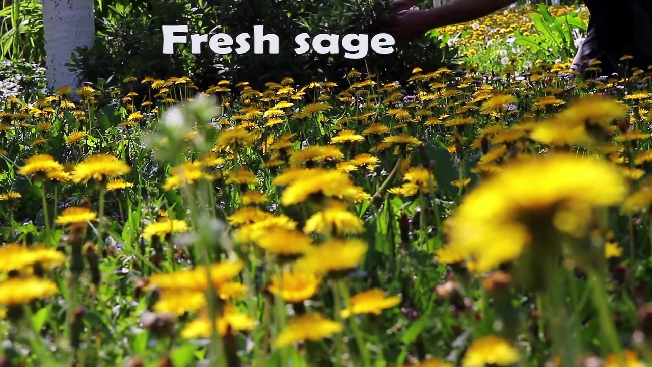 BEST TENDERLOIN EVER! MANGALICA PORK! - MANGULICA SA GRASKOM - HOW TO COOK