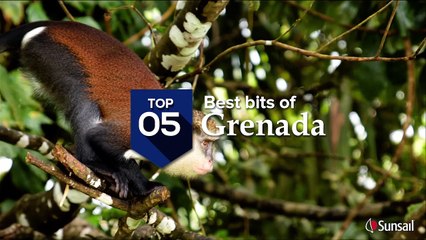 Top 5 spots on a Grenada Sailing Vacation