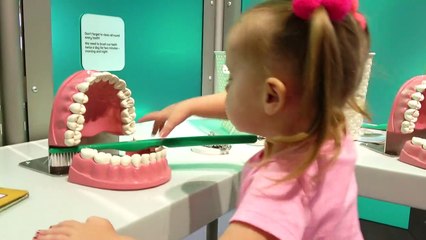 Indoor Playground Family Fun Play Area for kids pla