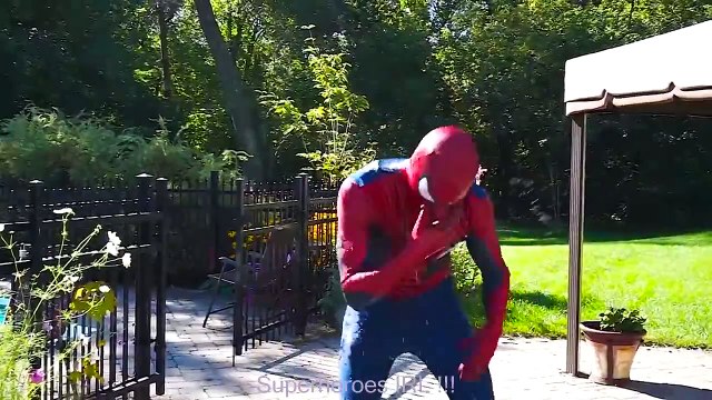 #3Spiderman CUTS Frozen Elsa Hair! w Fairy Godmother Captain America Joker Fun Superhero in real | Superheroes | Spiderman | Superman | Frozen Elsa | Joker