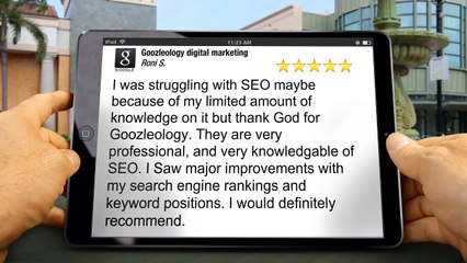Goozleology SEO San Diego Exceptional Five Star Review by Roni Smith