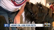 Valley store selling hemp-based products to humans and pets