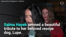 Salma Hayek Writes Emotional Tribute After Her Rescue Dog Dies