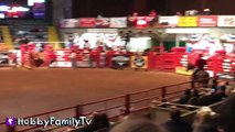 Cowboy RODEO! Riding Bulls n' Horses   Sheep at Fort Worth Stockyards Our First Rodeo HobbyFa