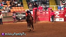 Cowboy RODEO! Riding Bulls n' Horses   Sheep at Fort