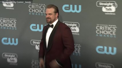 Did David Harbour Agree to Officiate A Wedding?