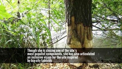 HuffPost, Breaking From Its Roots, Ends Unpaid Contributions