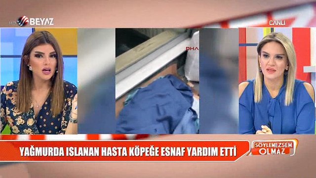 Yağmurda ıslanan hasta köpeğe esnaf yardım etti