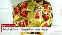 Jual Kopi Luwak | WA 081 233 660 207 Produsen Kopi Luwak | Kopi Luwak Indonesia