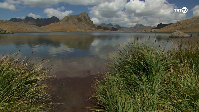 Doga Harikalari 9 bolum Yedigoller