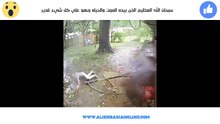 سبحان الله العظيم الذى بيده الموت والحياه وهو علي كل شيء قدير