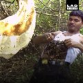 Ce fou se recouvre de milliers d'abeilles qu'il attrape à mains nues