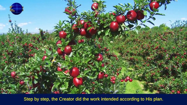 A Hymn of God's Words All Things Exist Under the Authority of the Creator | The Church of Almighty God