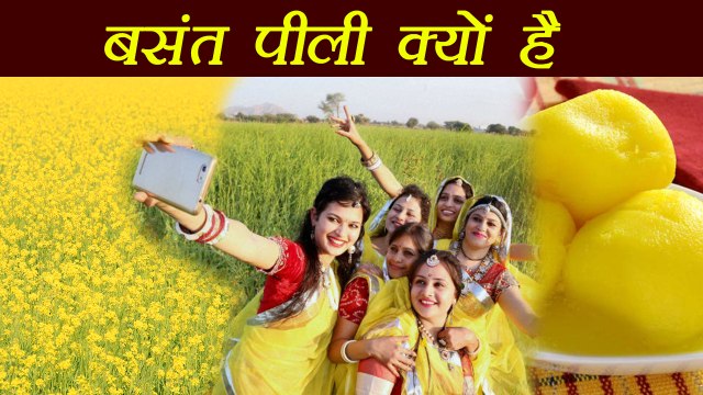 Yellow Color Importance In Basant Panchami | बसंत पंचमी पर पीले रंग का महत्व | Boldsky