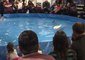 Waterskiing Squirrel Wows the Crowd at Toronto Boat Show