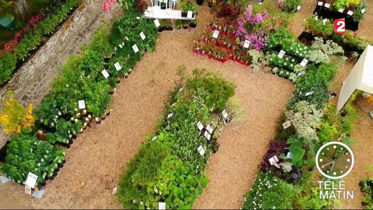 Jardin - Dans mon jardin d’hiver