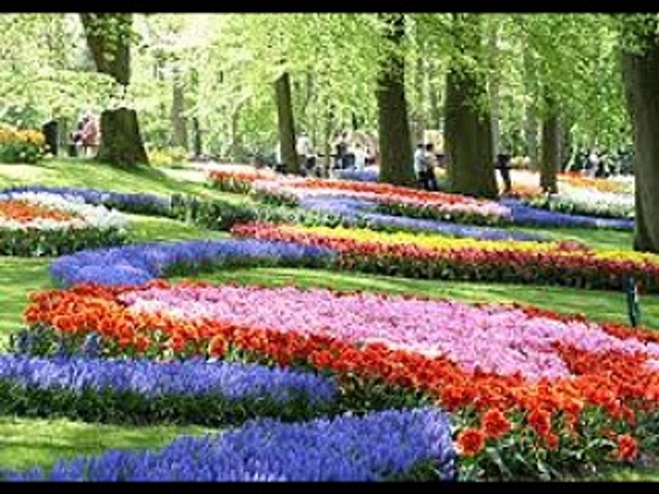 Cover 愛のくらし 加藤登紀子 (作詞:加藤登紀子 作曲:アルフレッド・ハウゼ) 私撰・和シャンソン / by Sima