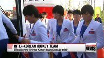 Proposal for inter-Korean hockey team proves controversial