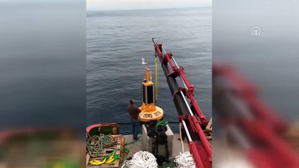 Meteorolojik şamandıra kurulumuna sevimli misafirler - ANTALYA