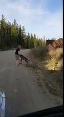 Man Rescues Baby Horse from Ditch