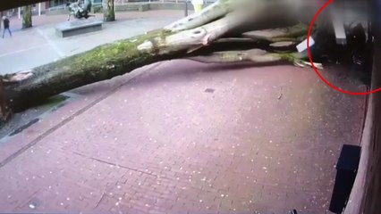 [이브닝] 유럽 '강풍 피해' 극적 생존한 엄마·아기 / YTN