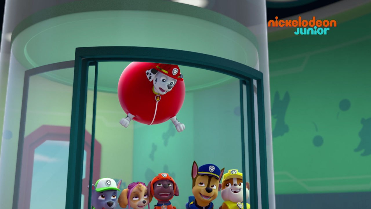 Paw Patrol : la Pat'Patrouille | Galinetta s'envole | NICKELODEON JUNIOR