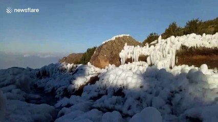 Fog turns to ice at China nature reserve