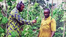 How Nigeria’s rural radio helps farmers with climate change | DW English
