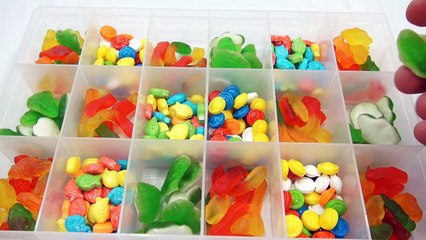 Reel U In Plano Candy Tackle Box - Butchs Secret Admirer!