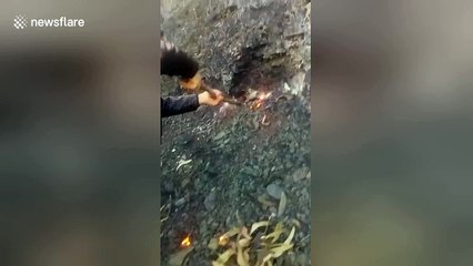 Coal subsoil burns three months after deadly wildfires raged in Portugal