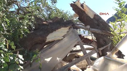 Antalya'da Kuvvetli Fırtına Seraları Vurdu