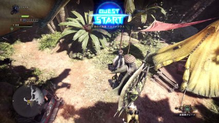 モンスターハンター：ワールド　ベータテスト版_20180119213345