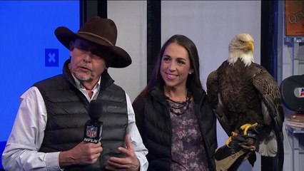 Meet Challenger, the eagle who will take flight before NFC title game