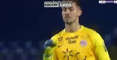 Junior Sambia Goal HD - Montpellier 1-1 Toulouse 20.01.2018
