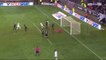 Mathieu Bodmer Goal -  Amiens 3 - 1	 Guingamp 20-01-2018