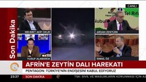 Afrin'e Zeytin Dalı Harekatı