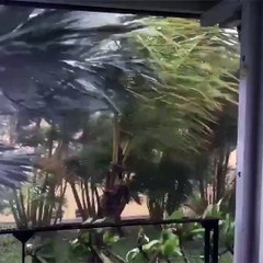 La tempête Berguitta a frappé l’île de la Réunion
