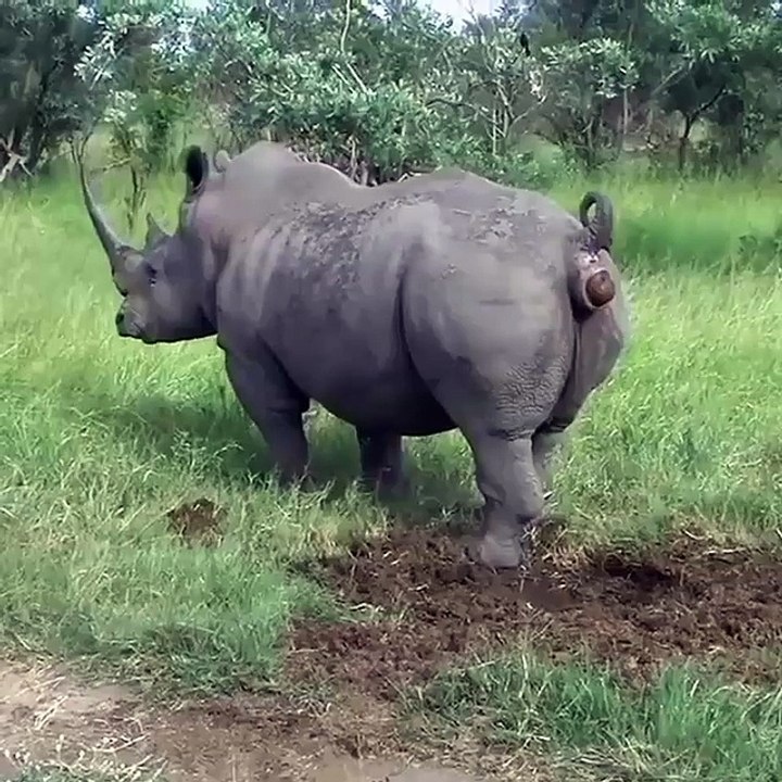 Can you Do this?