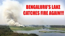 Bengaluru : Bellandur Lake catches fire once again, Watch video | Oneindia News