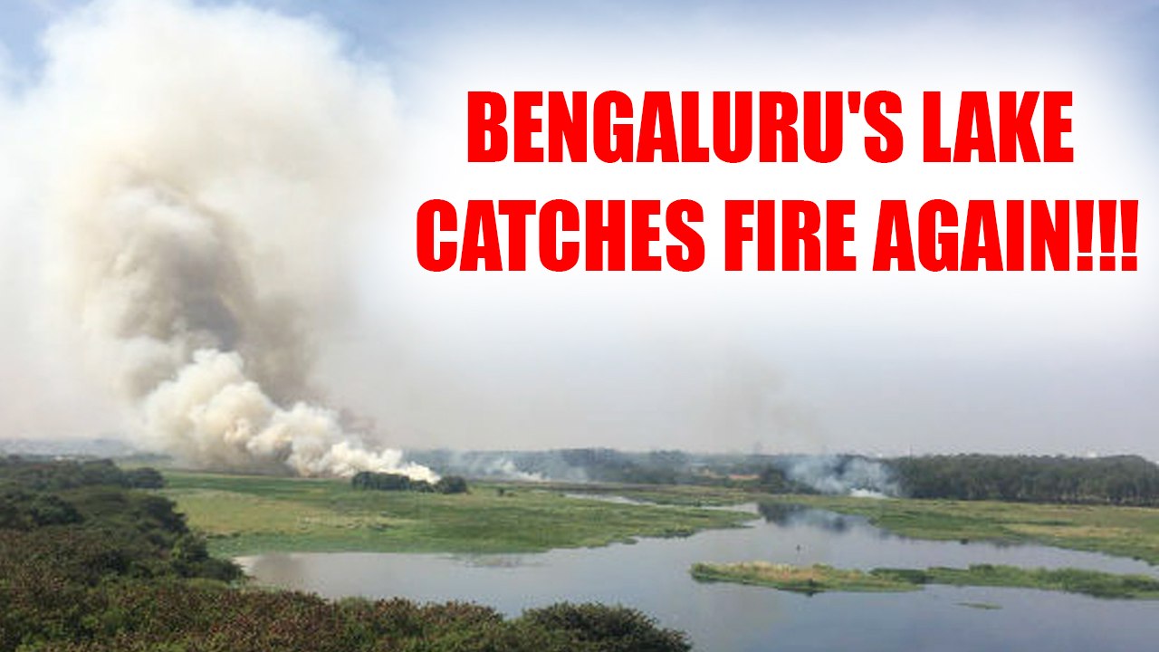 Bengaluru Bellandur Lake catches fire once again, Watch video