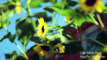 7 lý do bạn nên thử xách balo lên và đi du lịch một mình một lần trong đời