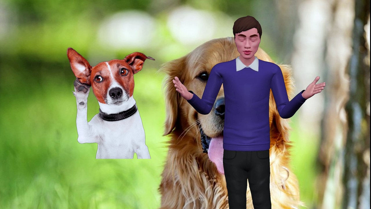 Why You Shouldnt Let Dogs Lick Your Face video Dailymotion