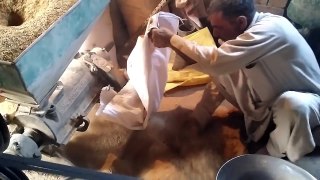 how to make rice-mini rice mill in punjab daisi made  local technology