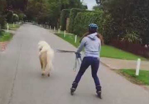 Horse Takes His Owner For a Ride