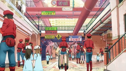 Hataraku Saibou | Cells at Work! Lavori in Corpo [PV]