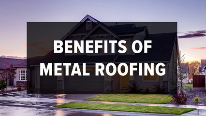 Metal Roofing & Steel Roofing: A Lasting Solution