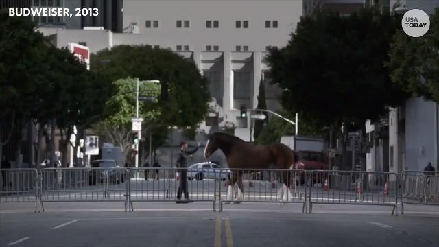 Ad Meter 30th Anniversary Bracket: Region 2