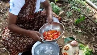 Desi Chicken Recipe Cooked in Village by Grandmother.