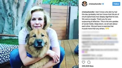 Chelsea Handler Mourns Beloved Dog 'Chunk'
