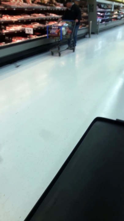 Bats Inside Walmart